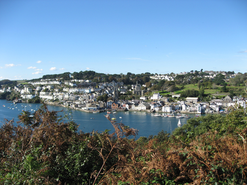 view in and around Polruan